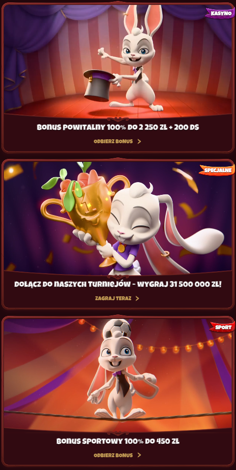 Magius bonusy